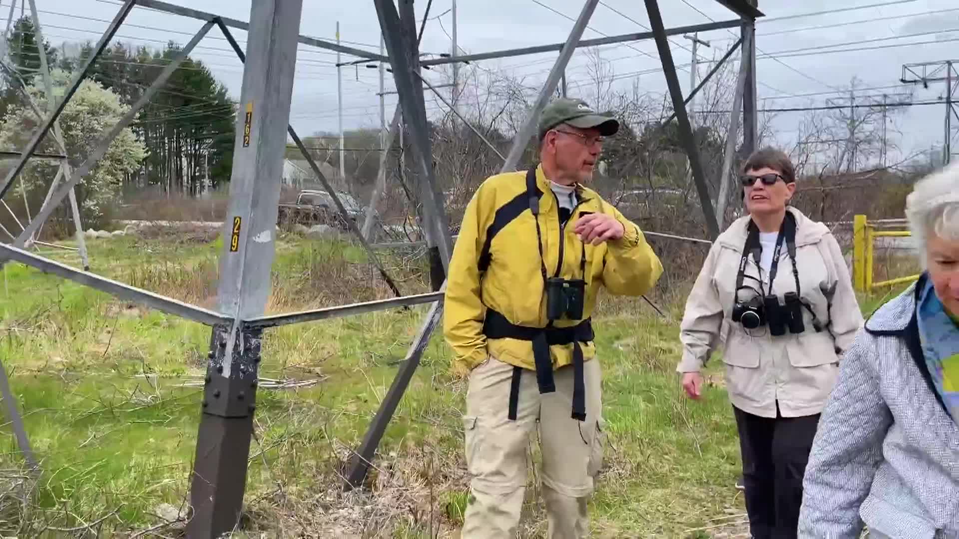 Bluebird Restoration Project - North Billerica Group Nest Check Episode 5