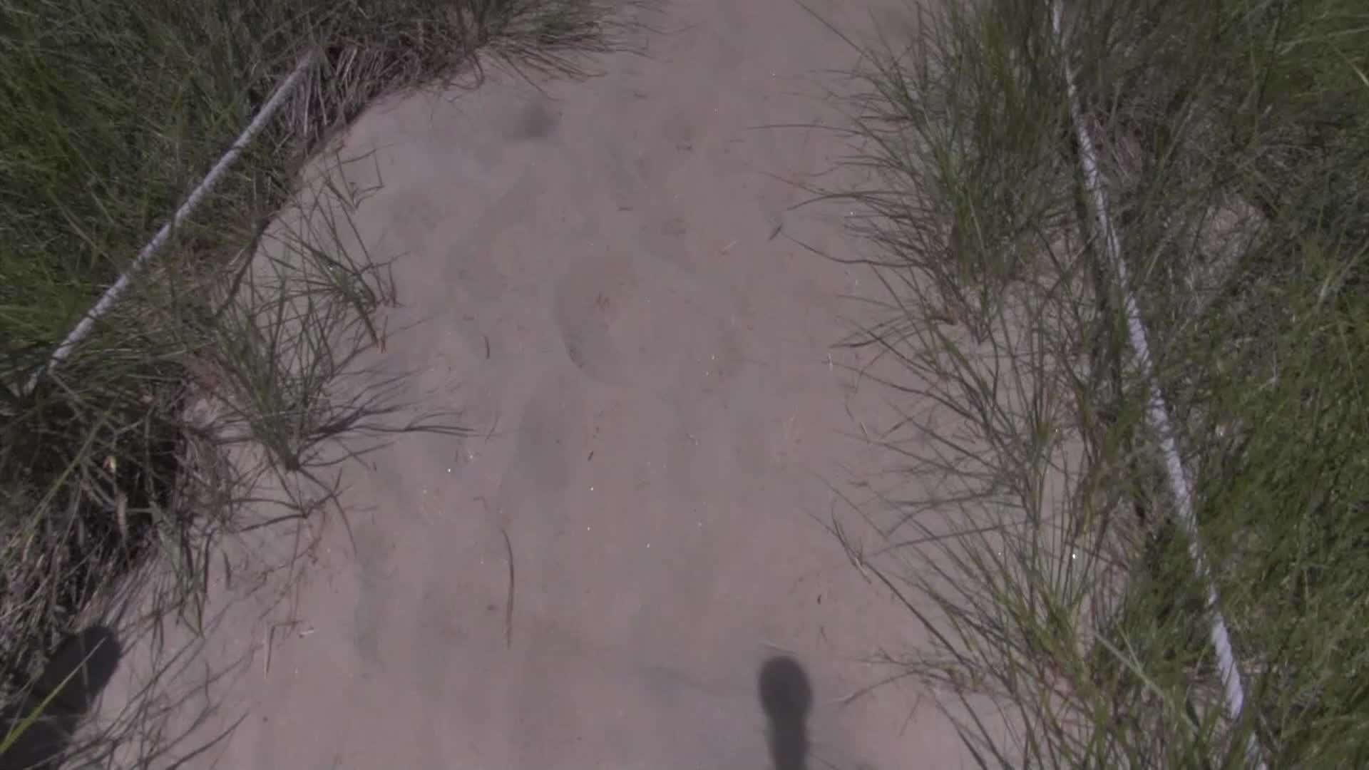 Around the Garden with Jimmy K - Chilling and Relaxing